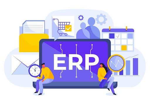 ERP Development
